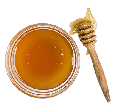 Miel - Filière Miel - de Lozère